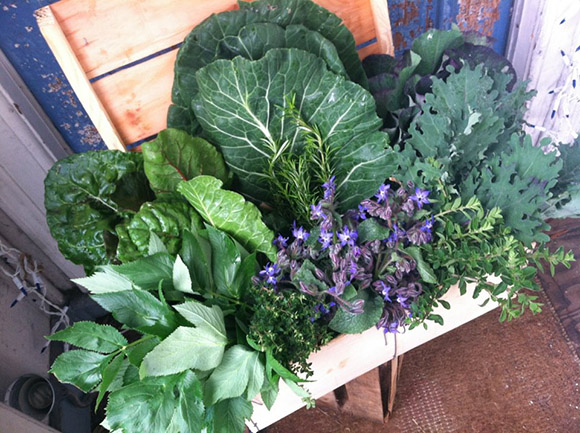 Spiral Gardens Herb Bed